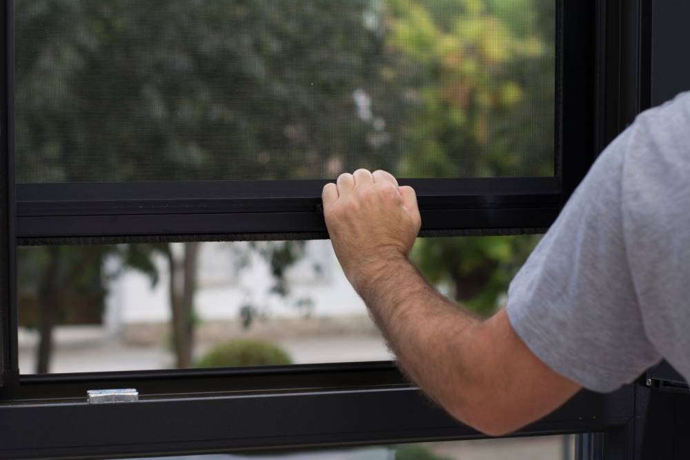 Moustiquaire près de Courthiézy